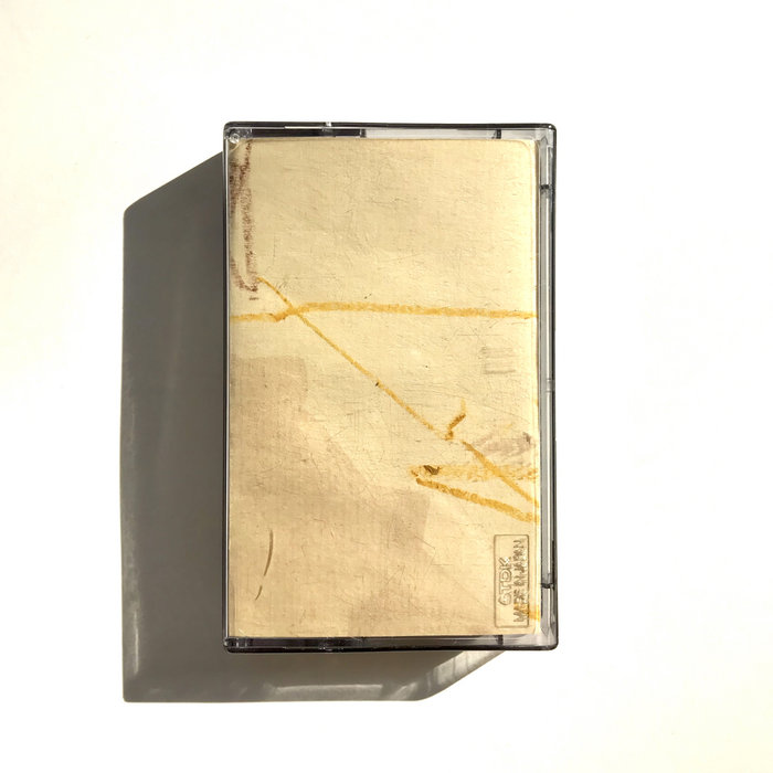 Voice For Piano Repeating Troy Schafer