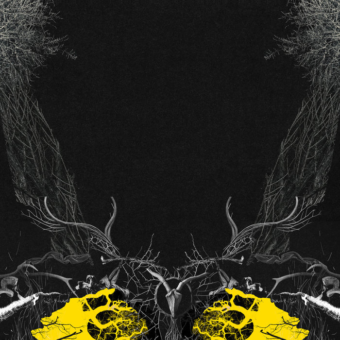 moundabout.bandcamp.com