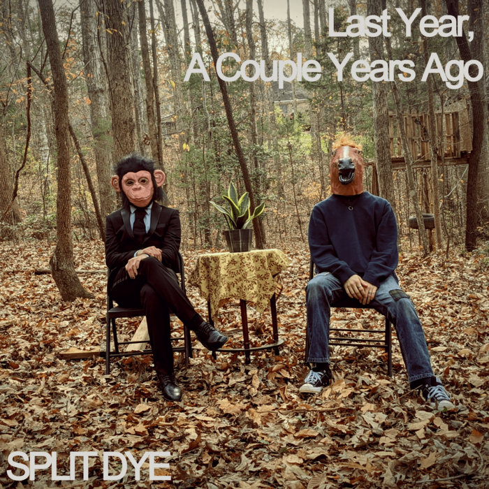 Last Year, A Couple Years Ago | Split Dye