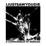 a connoisseur of needles