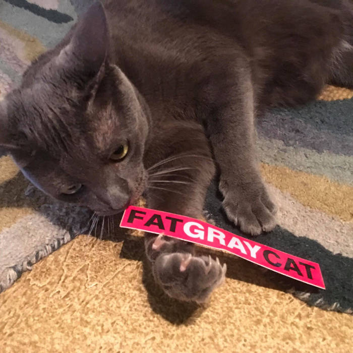 Music | Fat Gray Cat