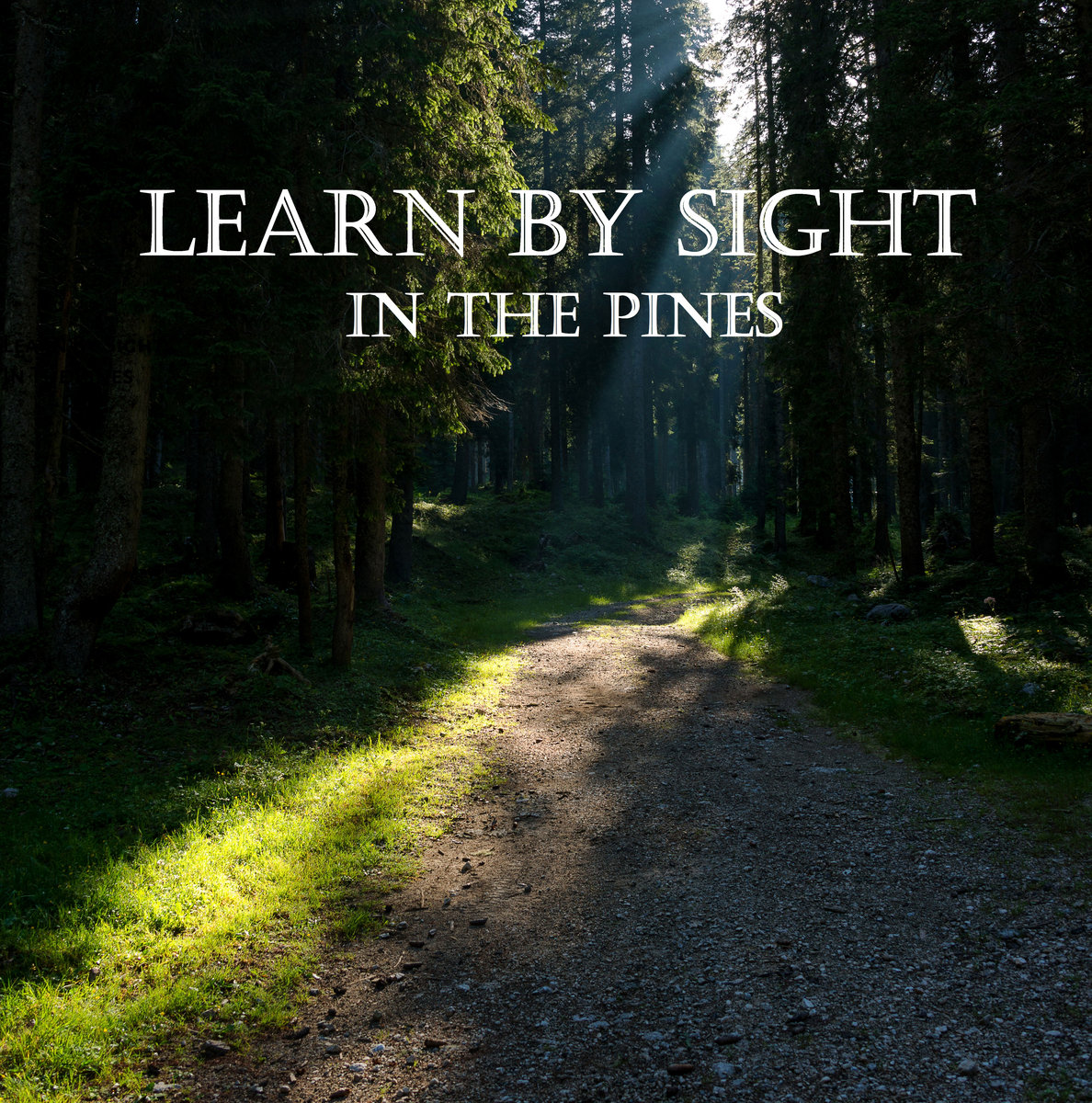 In The Pines - Single | Seb Howarth Music