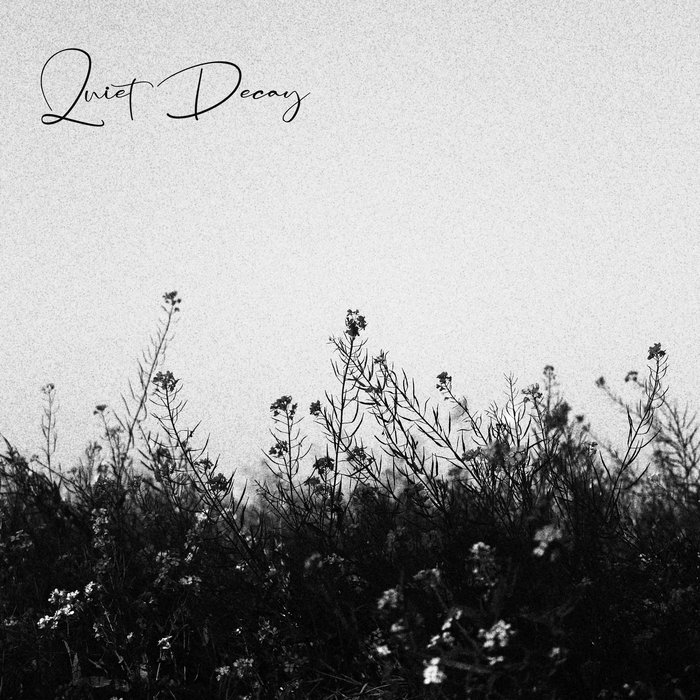 Quiet Decay | Quiet Decay
