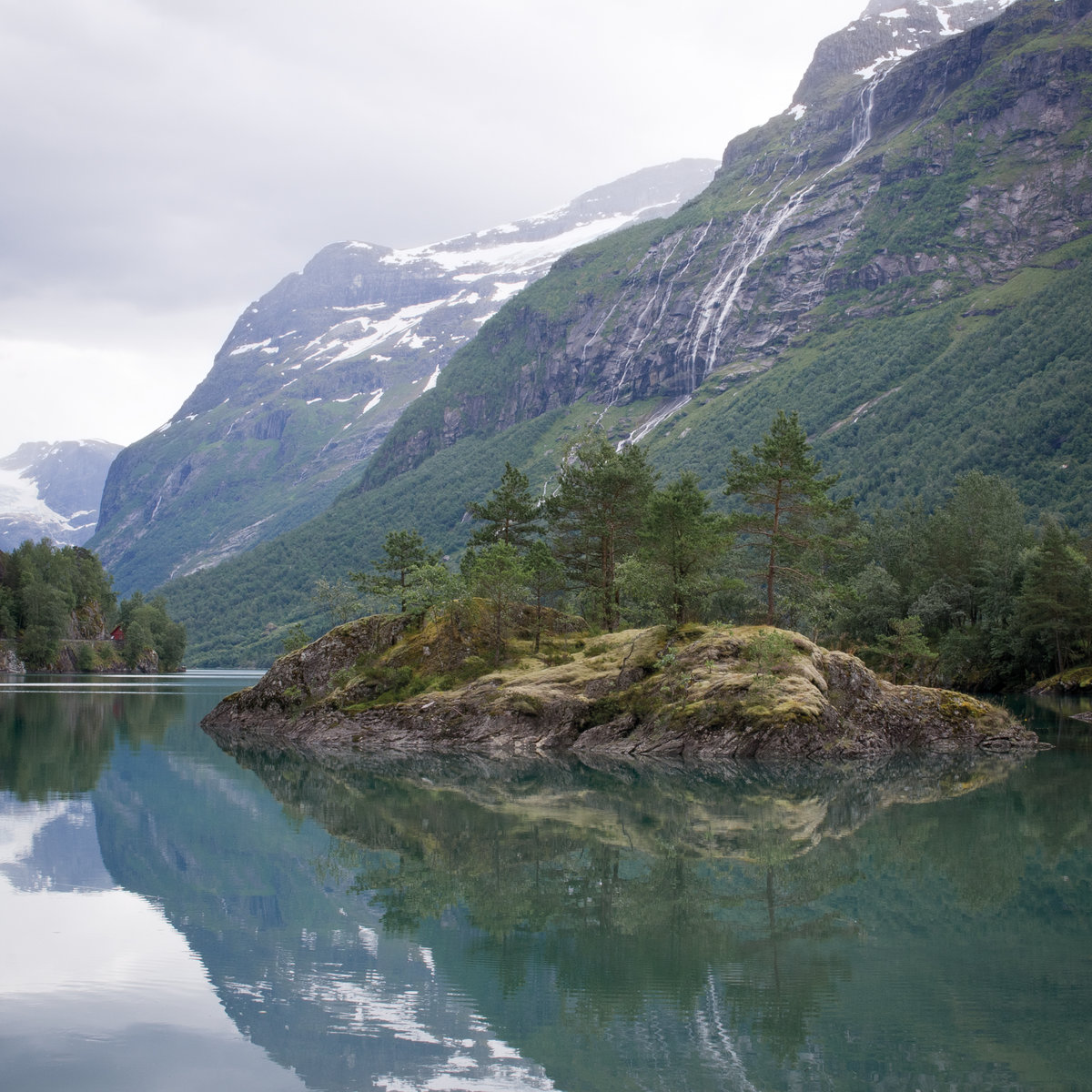 Vella Lavella | Inter Gritty