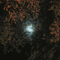 Watch me Rise - A DECADE FULL OF SETBACKS AND MISTAKES