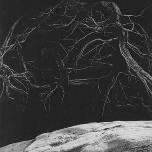The Towering Roots cover