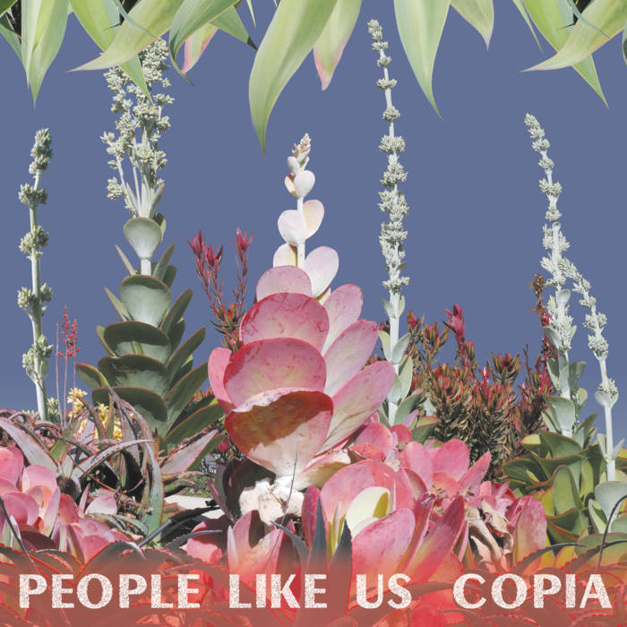 COPIA | People Like Us