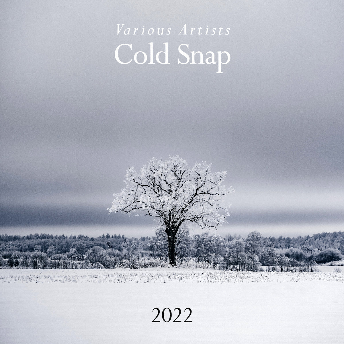 Cold Snap 2022 Various Artists Drift Deeper