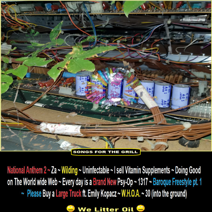 Songs for the Grill We Litter Oil