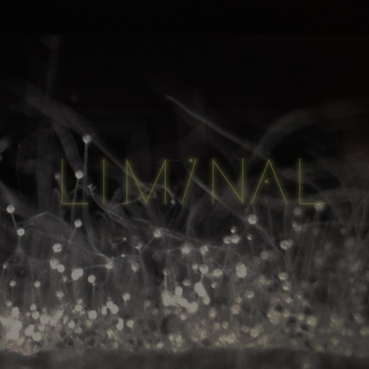 Liminal 2 Liminal Liminal 2 Liminal