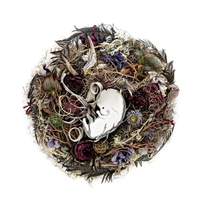 Kyou mo ikitane | The Novembers