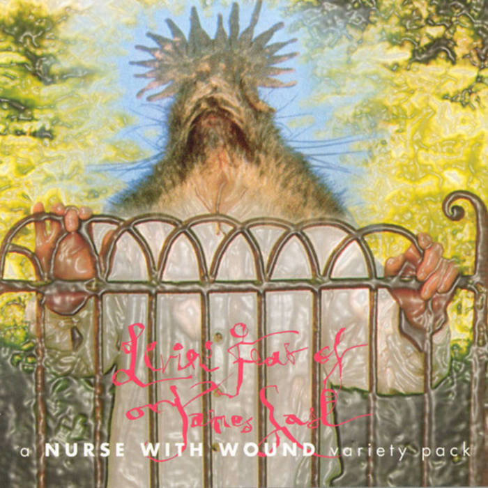 希少‼︎ 1979年盤Nurse With Wound LP アナログレコード Nurse With