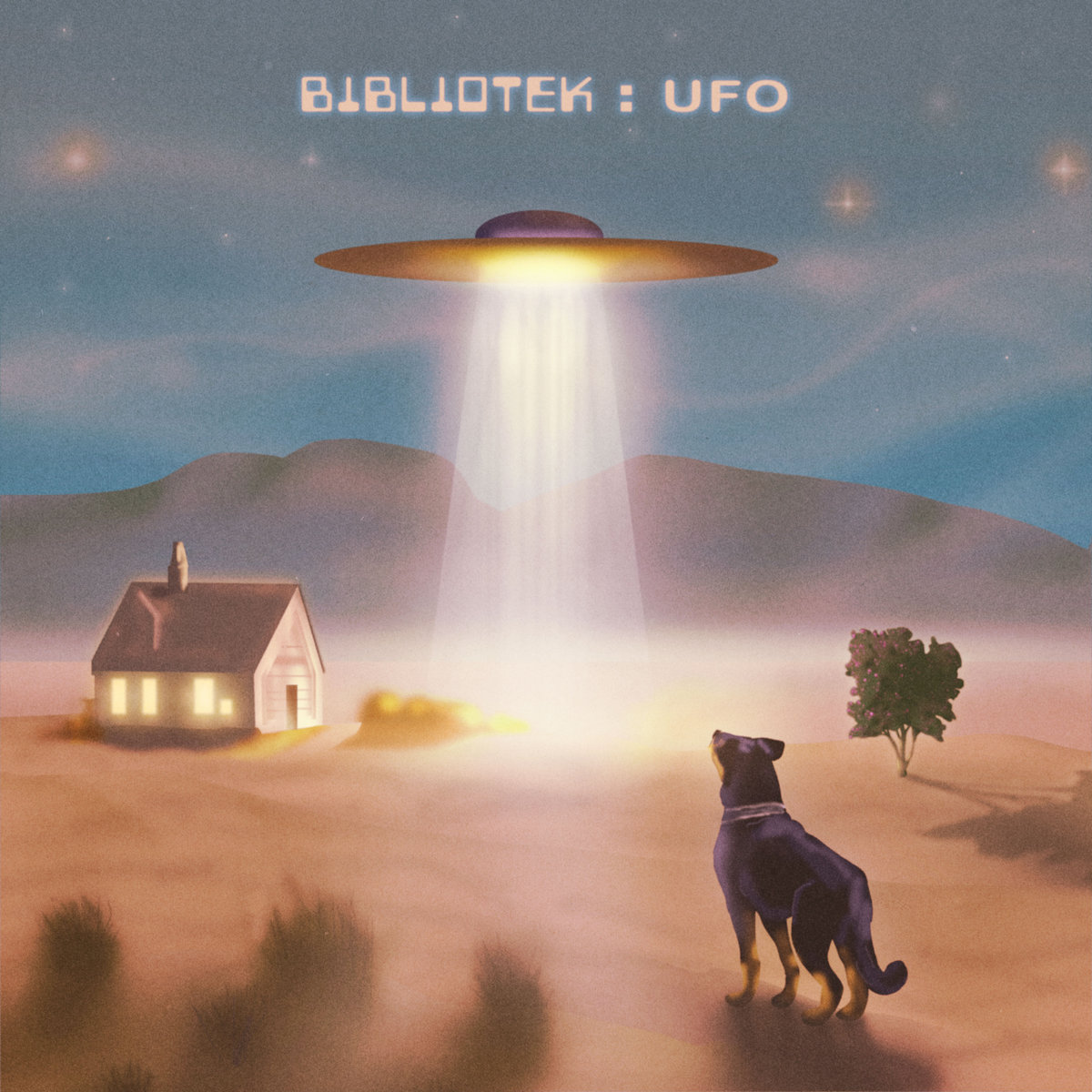 Bibliotek: UFO cover