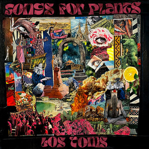 Songs for Plants cover