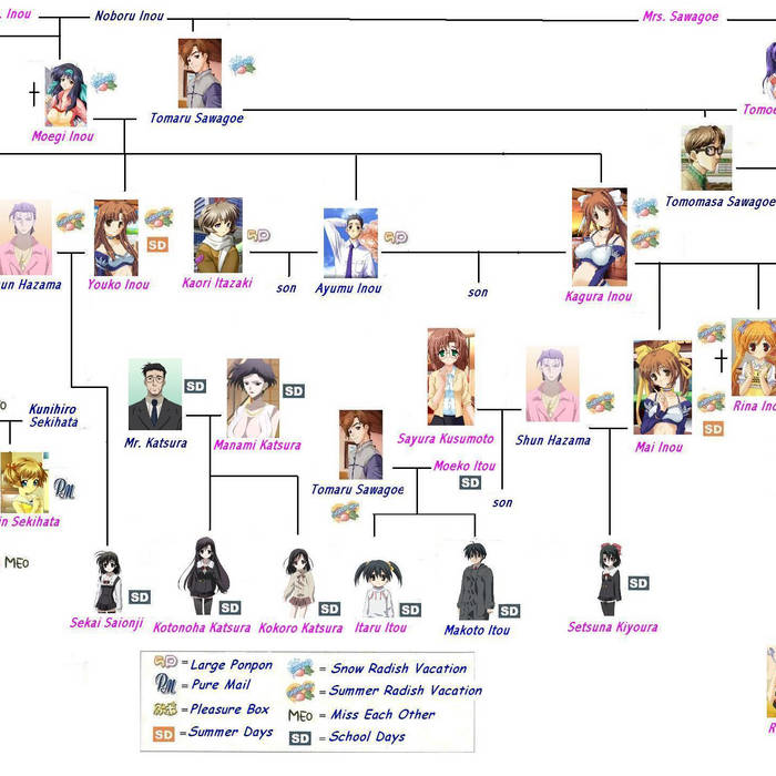 blackburn trakstand fluid trainer