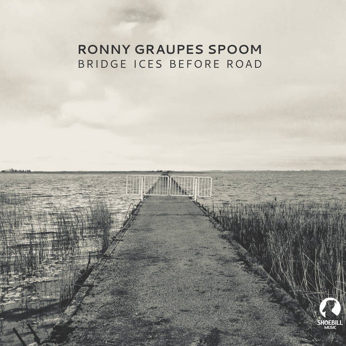 Bridge Ices Before Road
by Ronny Graupes SPOOM
