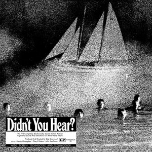 Didn't You Hear? cover