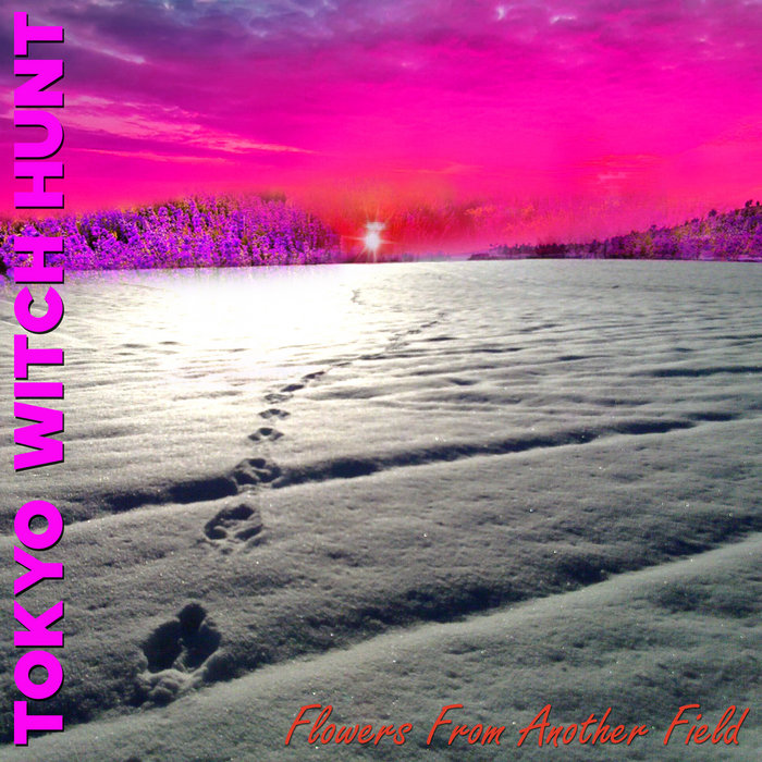 Flowers From Another Field, by Tokyo Witch Hunt
