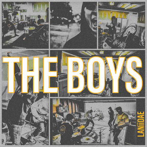 LANiiDAE — The Boys