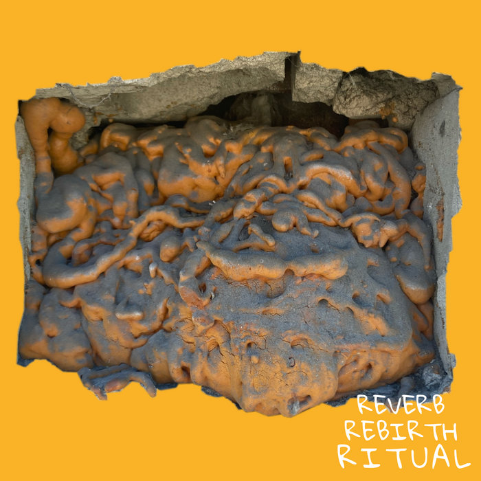 Reverb Rebirth Ritual | curtis emery | Curtis Emery