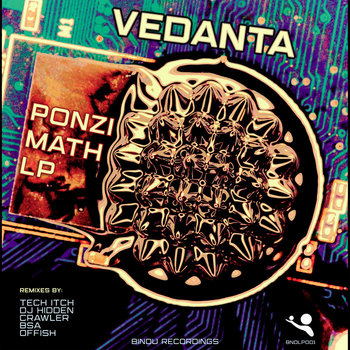 Album artwork for Ponzi Math LP