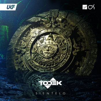 CD Sientelo [12 inch Analog](品)