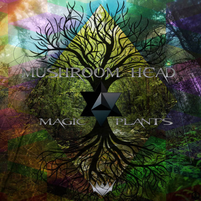 Mushroom Head — Magic Plants