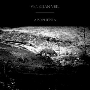 Apophenia - or Patterns, Presumptions, Images, Endings cover
