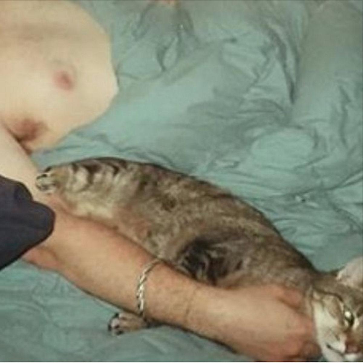 Bbbbbbbb Slum Rugglers