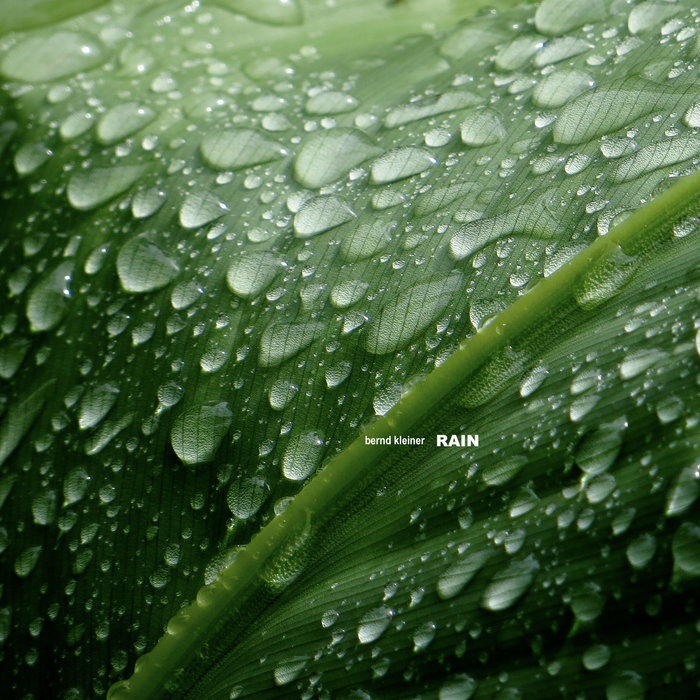 rain I Bernd Kleiner Bernd Kleiner silent spaces