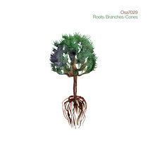 Roots/Branches/Cones cover art