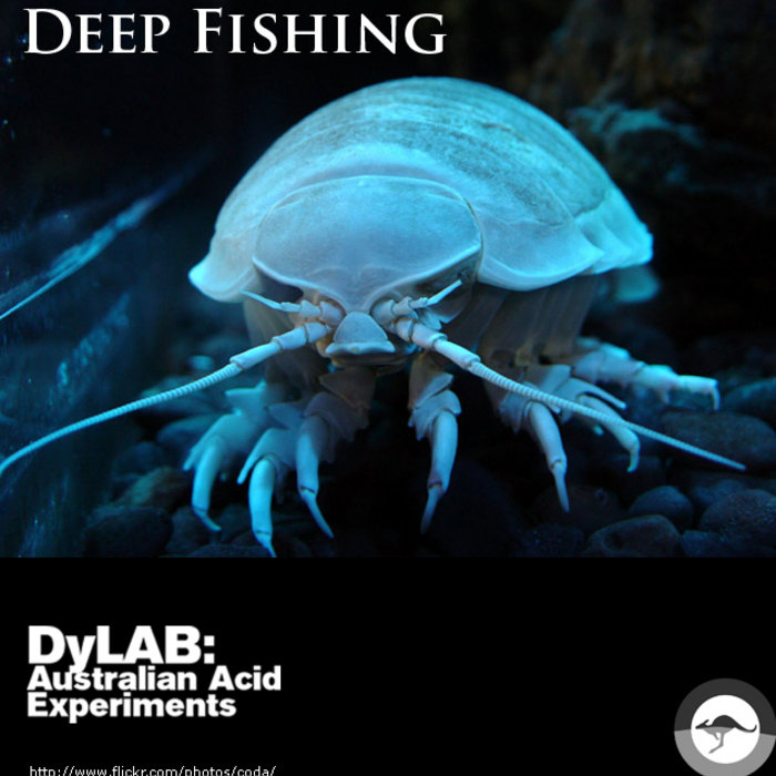 Deep Fishing, by dyLAB