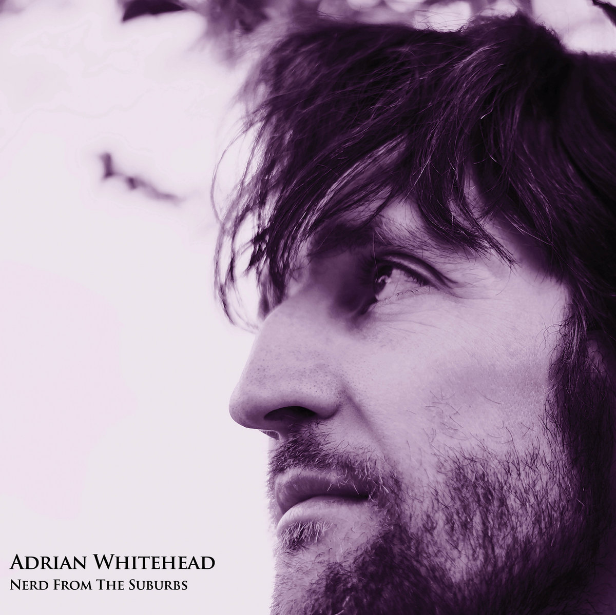 Sigmund Freud Adrian Whitehead