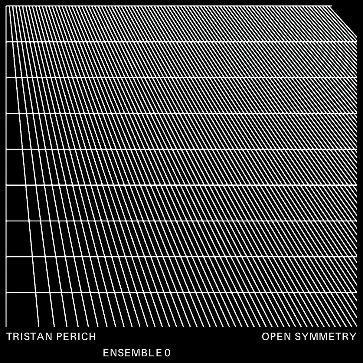 福袋 公式 Ensemble Perich, Tristan | Symmetry Open 0 Tapes Erased | その他