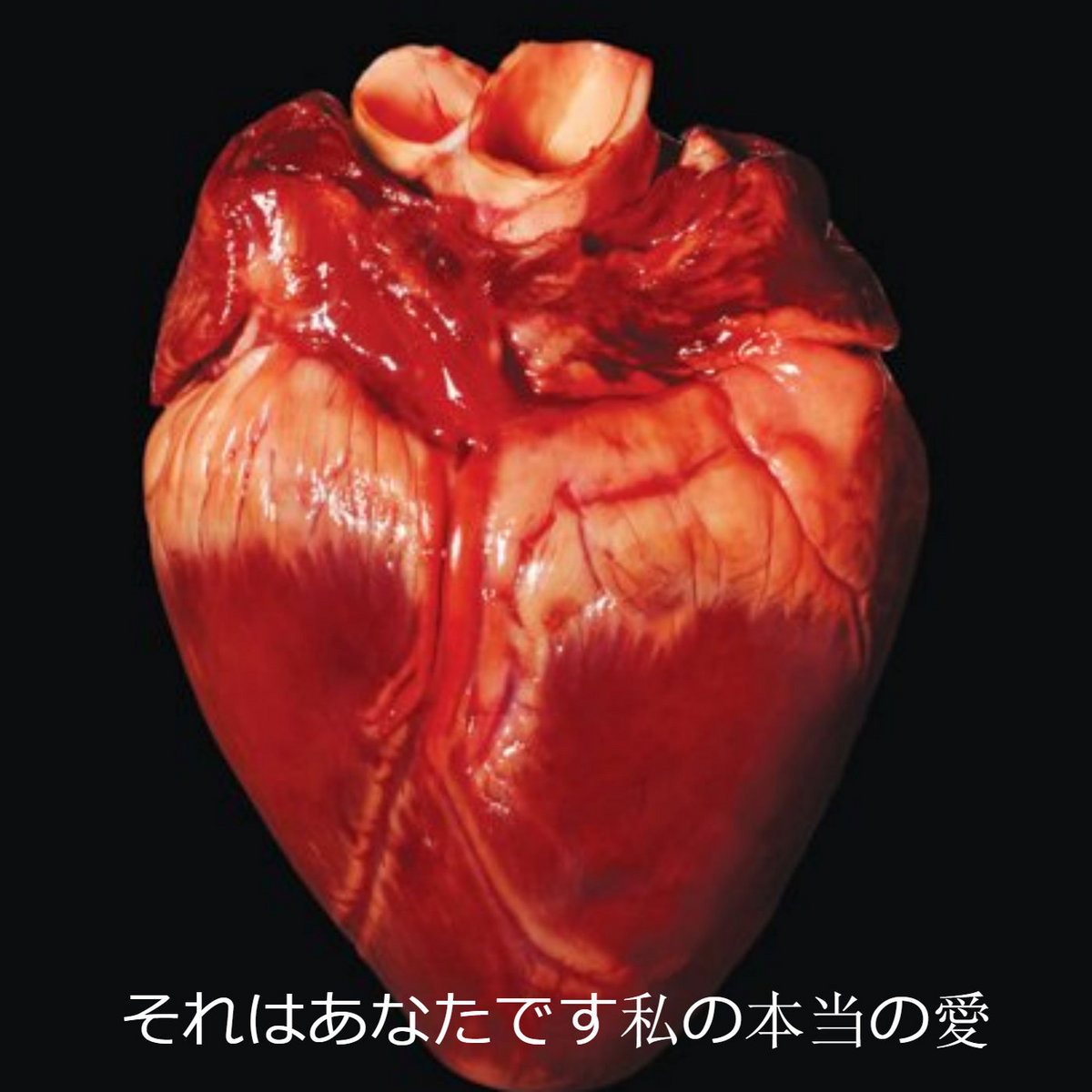 私はあなたを見つけようとしています それからあなたを殺し あなたの体を穴に埋めて 最後にあなたの家族を殺します Infity 私はあなたを見つけようとしています それからあなたを殺し あなたの体を穴に埋めて 最後にあなたの家族を殺します Infity