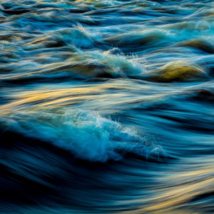 Water and the Wild cover