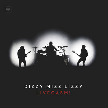 dizzy mizz lizzy サイン入りドラムヘッド fm802当選品 Music | Dizzy Mizz Lizzy
