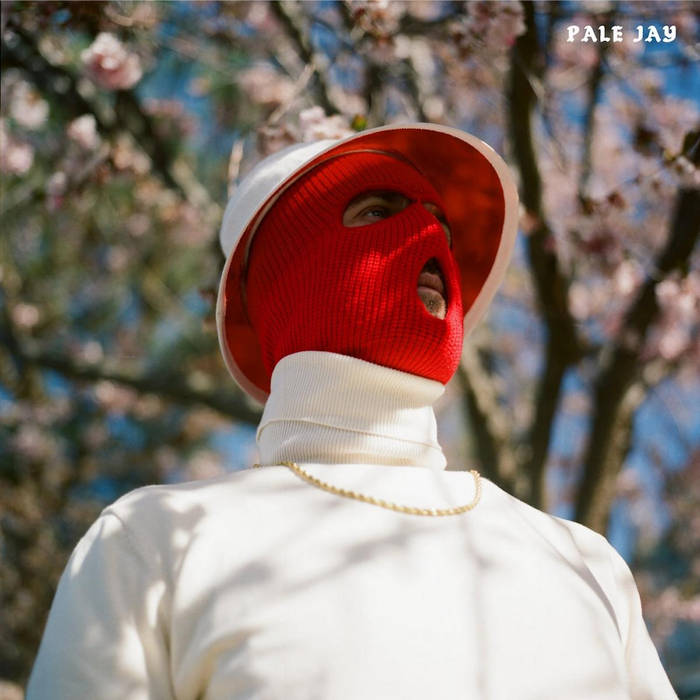 The Celestial Suite | Pale Jay | Colemine Records