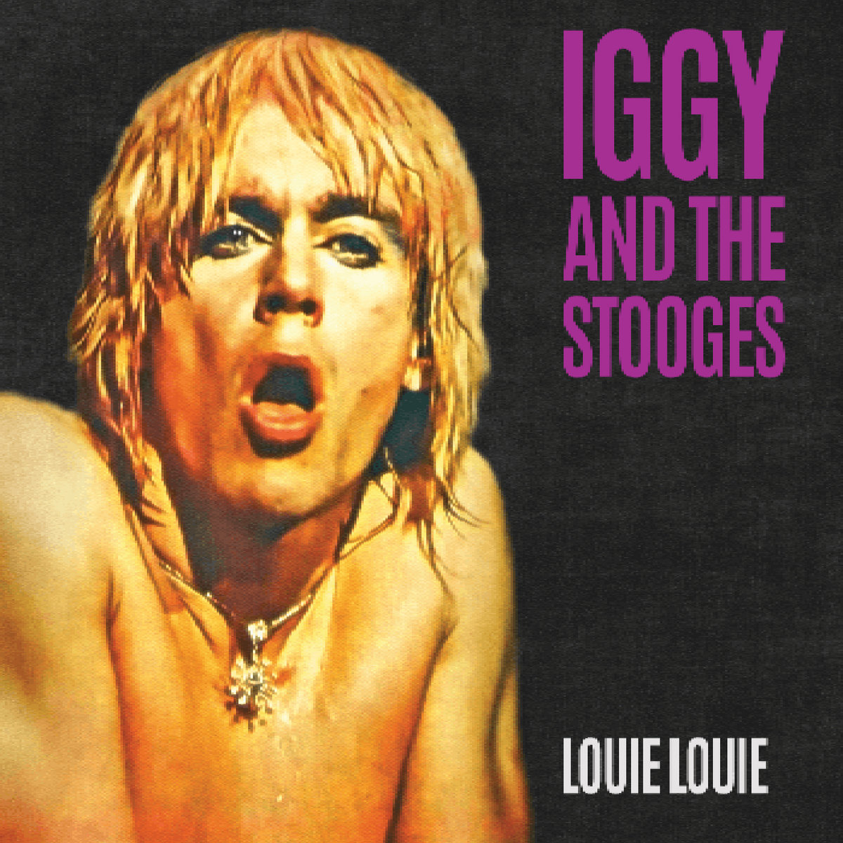 Louie Louie | Iggy And The Stooges | Iggy Pop