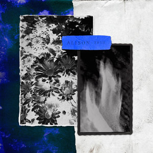 A.L.I.S.O.N — TrueAlison