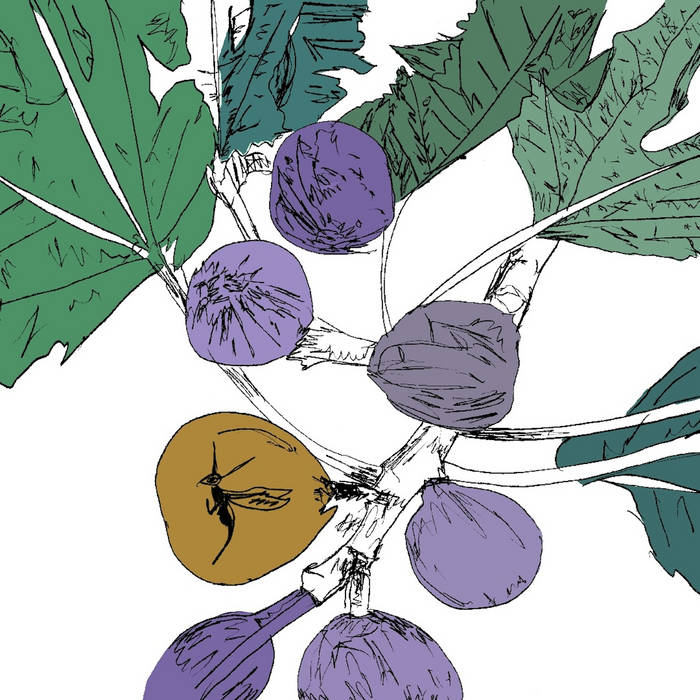 Music to Watch Seeds Grow By 005: Stella Z (Fig) | Stella Z