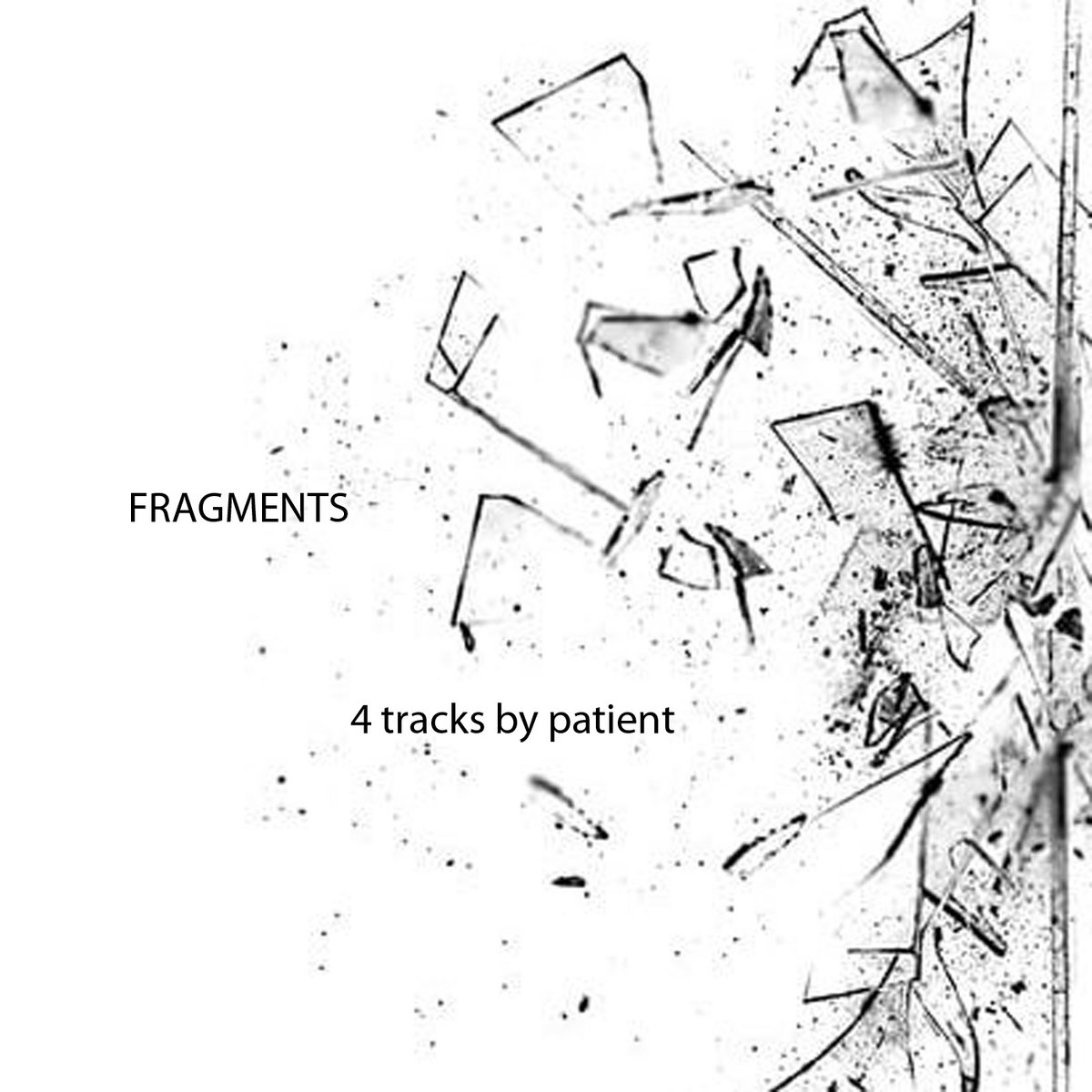 Fragments Patient