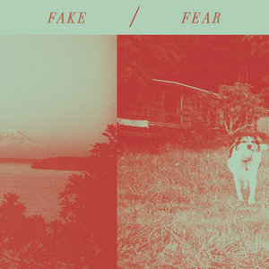 Chastity Belt — Fake / Fear