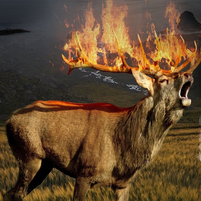 Dream of the Drowning Elk Aerial Toll House