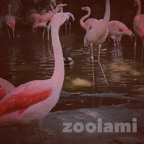 Zooiami cover art