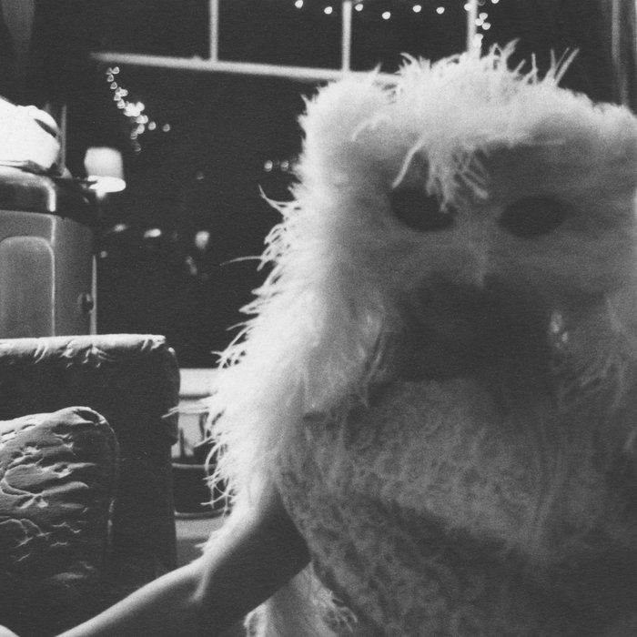 The Glory Of Fruit Bats Fruit Bats