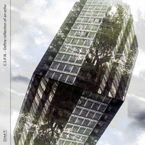 Define reflection of an echo cover art