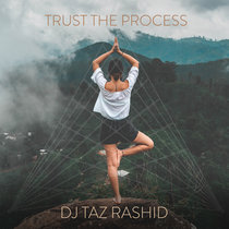 Trust The Process cover art