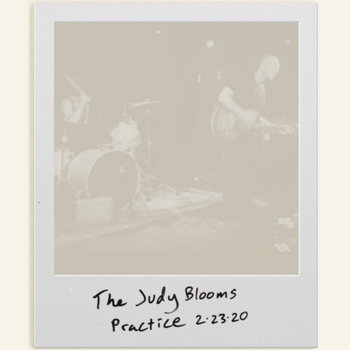 Music The Judy Blooms