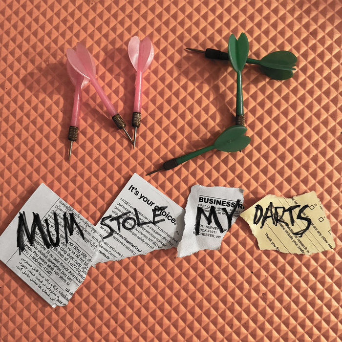 Nick Jagger - Mum Stole My Darts (THE CHATS cover) cover art